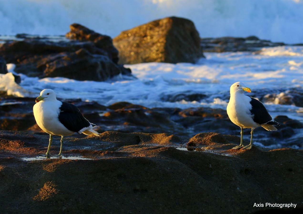 Laguna 75 ウヴォンゴ・ビーチ エクステリア 写真